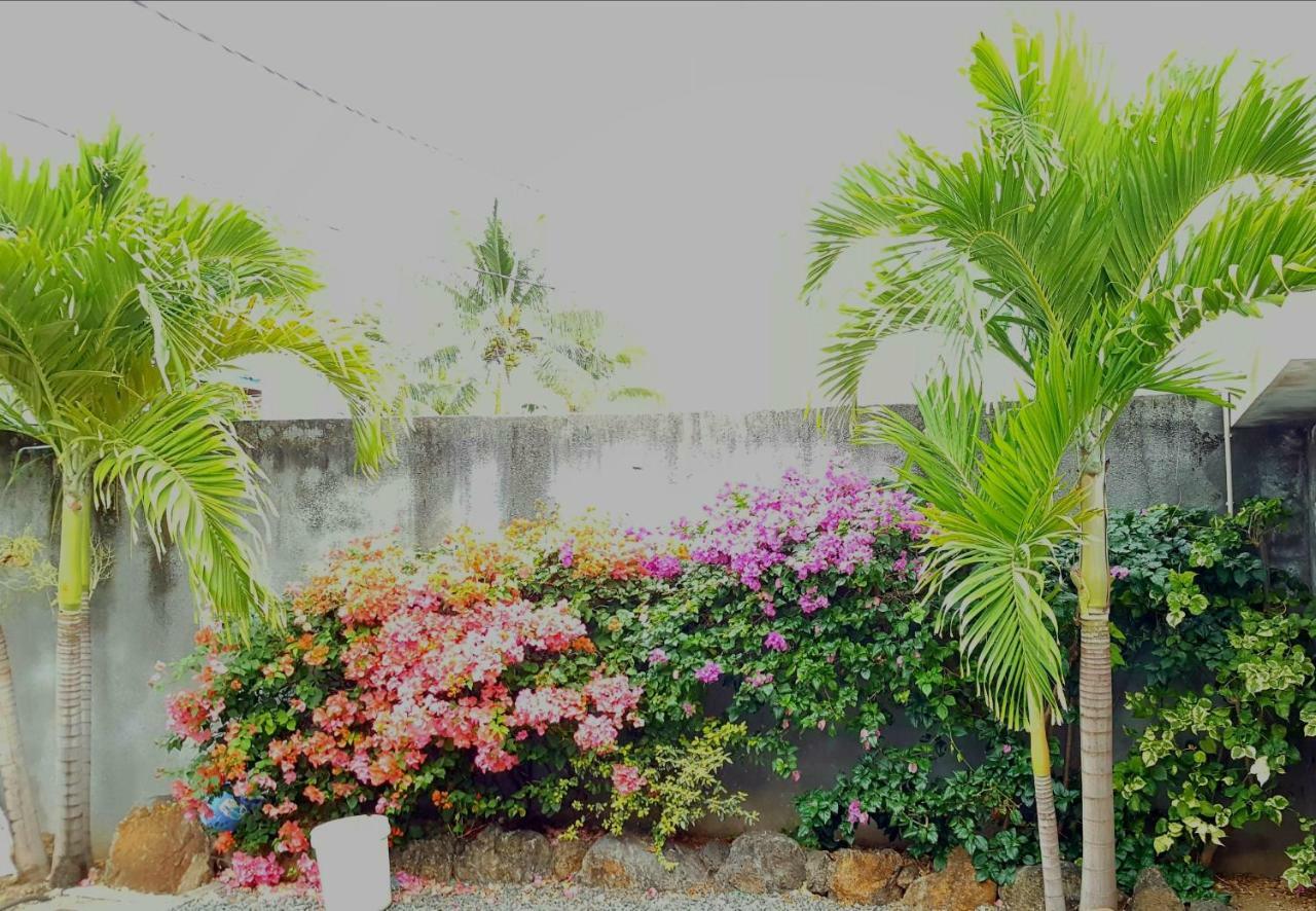 Bluebay Appartments Blue Bay Bagian luar foto